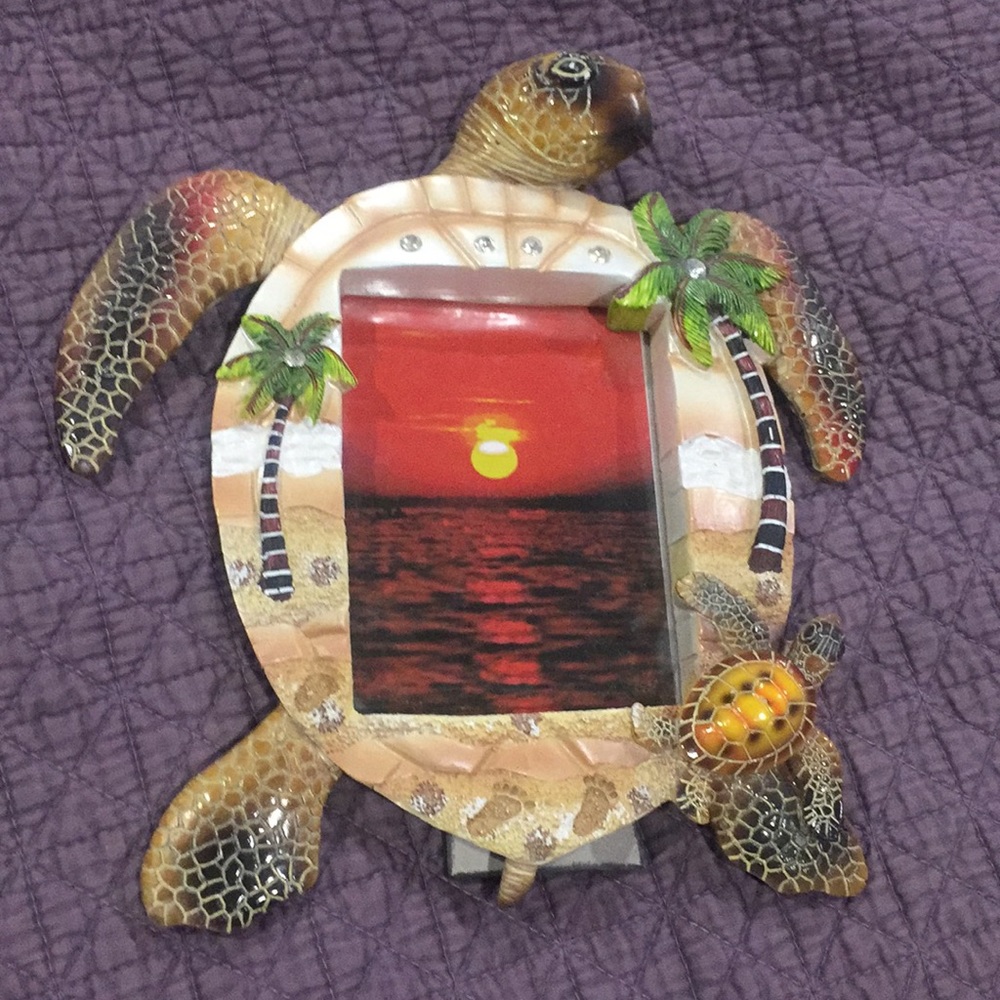 Turtle Frame